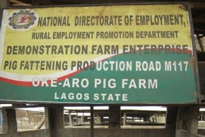 ASF Outbreak Hits Oke-Aro Pig Farm
