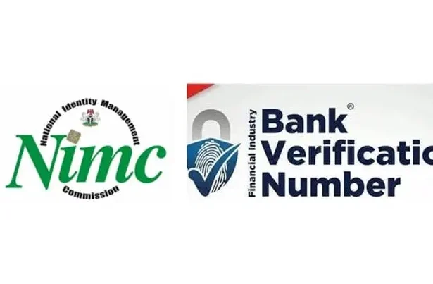 BVN vs NIN: Differences, Uses and Everything You Need to Know