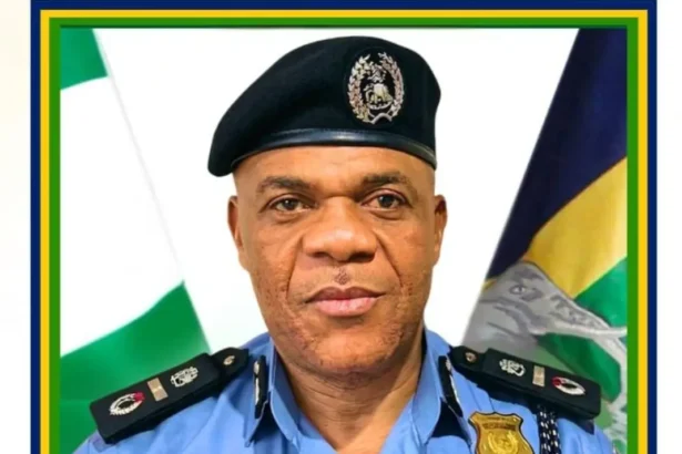 Concerned police officers at FCID, Alagbon raise alarm over power tussle in their unit