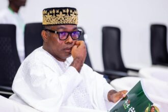2027: Tinubu Has Already Defeated Himself, Says SDP's Adebayo