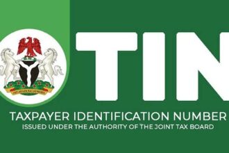 How to Get Your Tax ID in Nigeria Using NIN