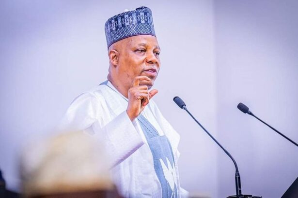 Shettima: Tinubu Saved Nigeria From Collapse